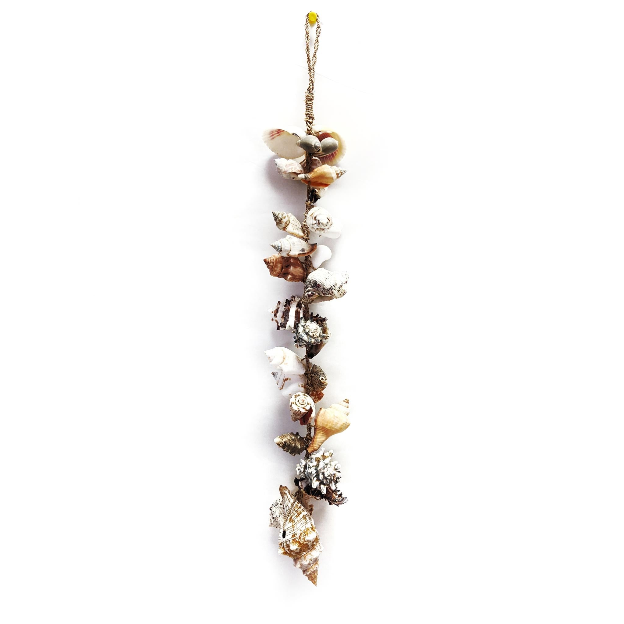 Shell Rope 40cm