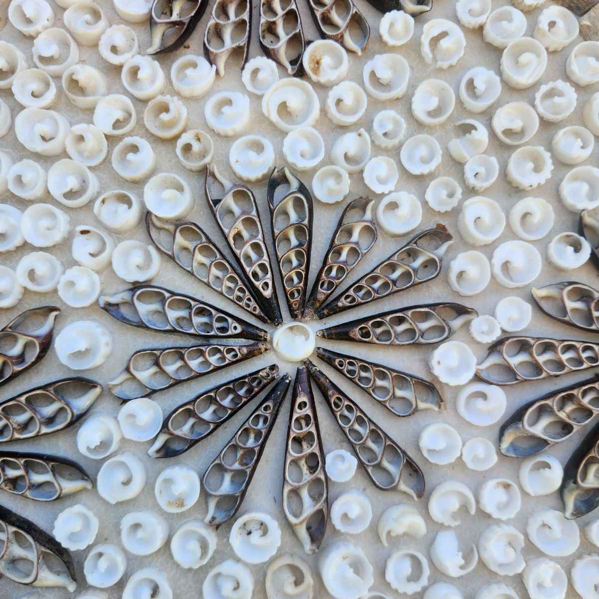 Beachy Decor Coastal and Beach Decor