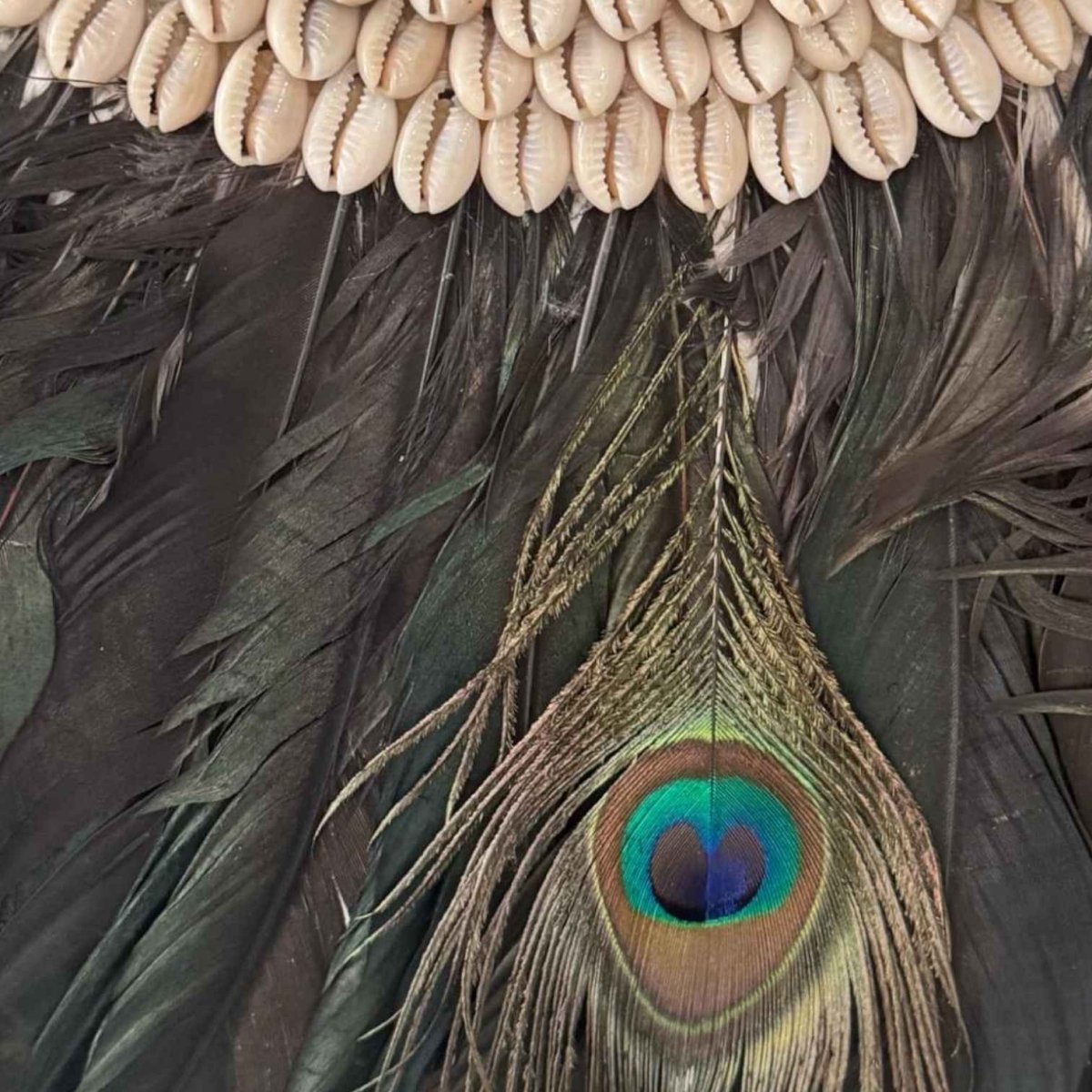 Peacock Feather Shell Necklace with Stand
