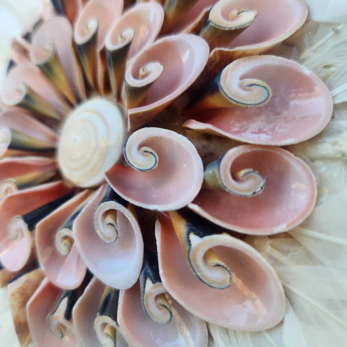 Beachy Decor Coastal and Beach Decor
