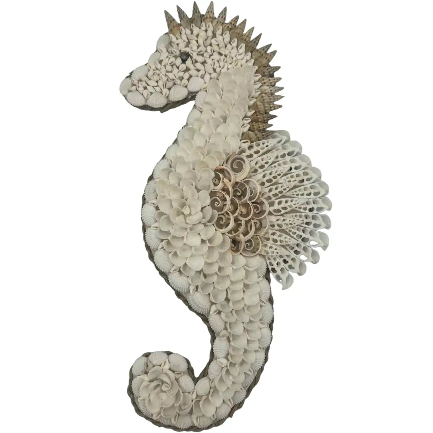 shell seahorse wall decor