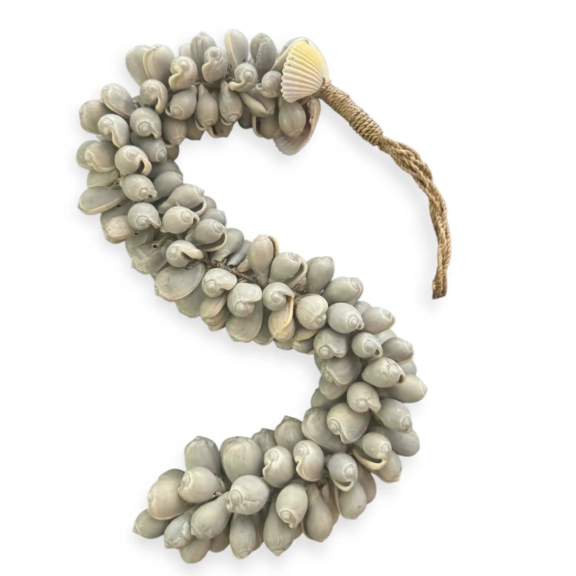 Seashell Rope Strands