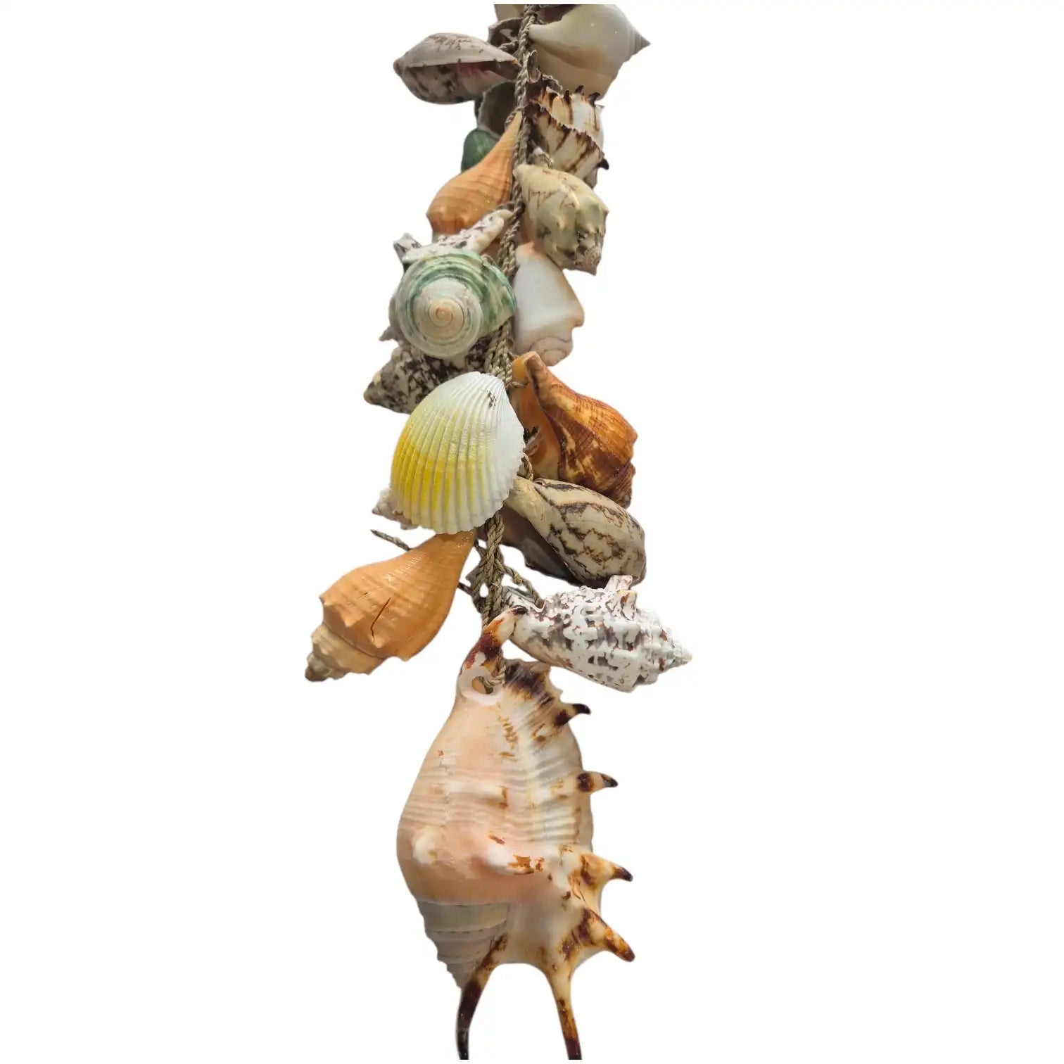 Coastal Seashell Rope Garland - Large