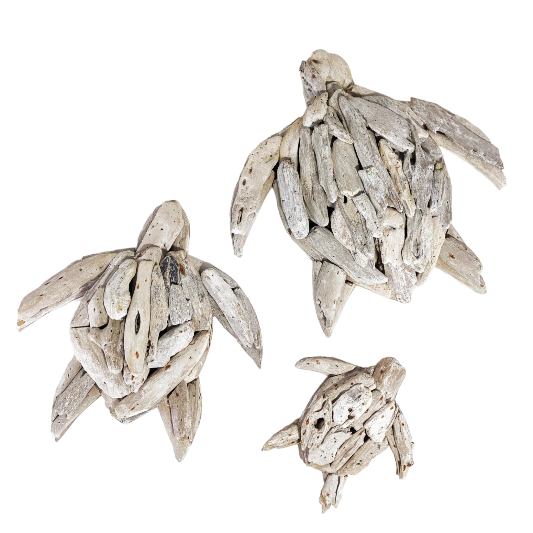Driftwood Turtles Set Home Decor