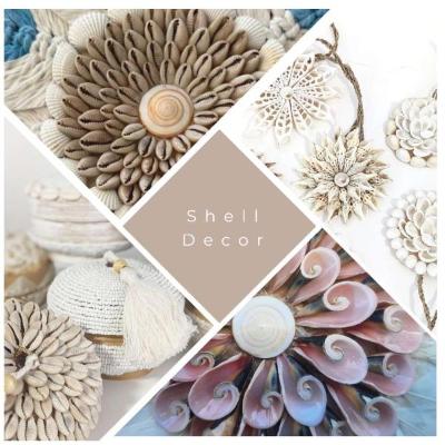 Shell wall décor