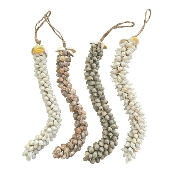 Seashell Rope Strands group shell Decor
