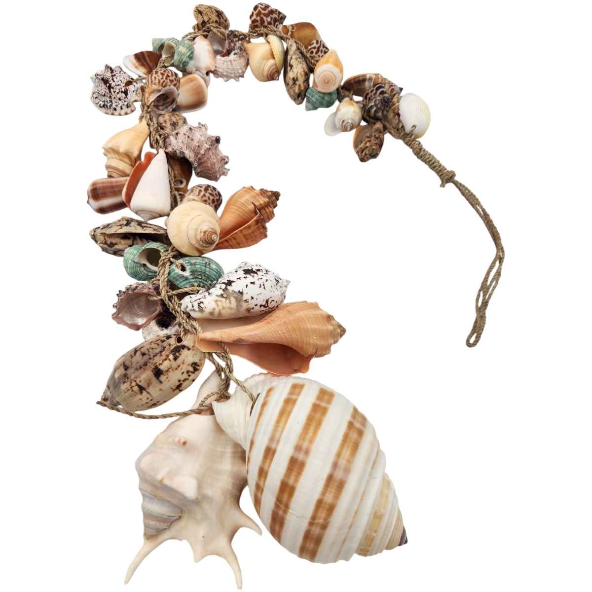 Shells on Rope - 70cm Home Decor