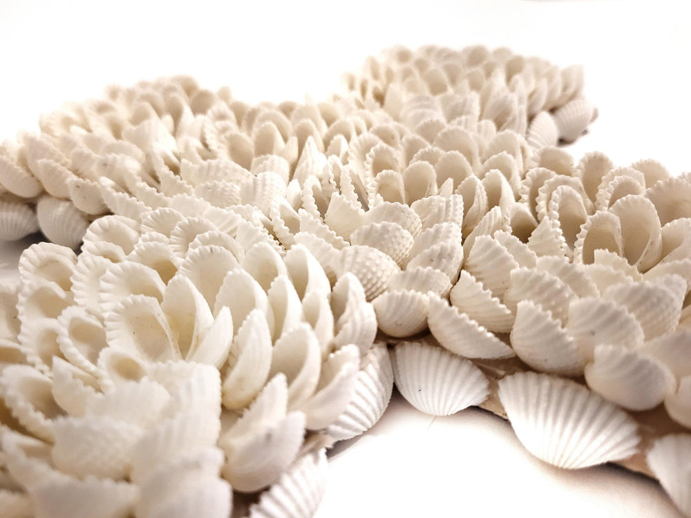 Flower Shell Cross - Medium Size beach and coastal décor